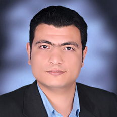 Wael Ahmed Abd Elazize Elmansoury